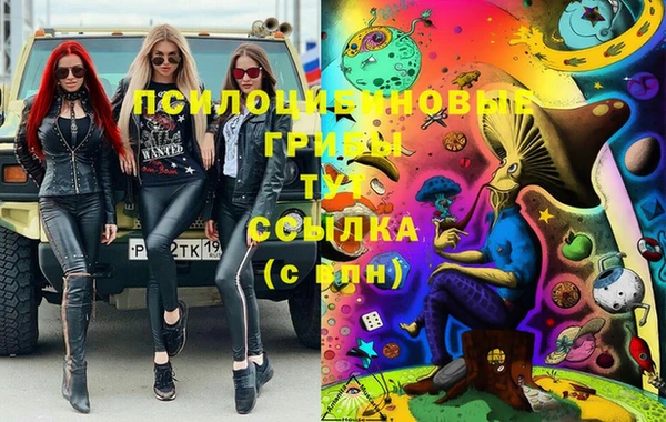 индика Абдулино