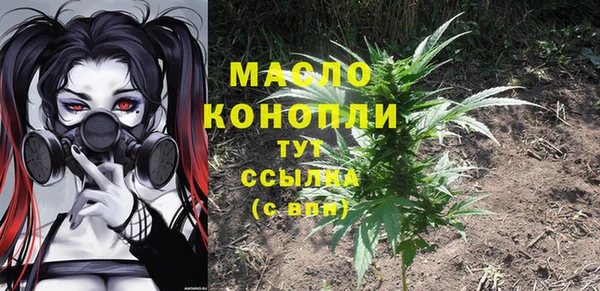 индика Абдулино